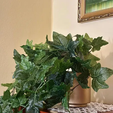 Wonderful * كومو